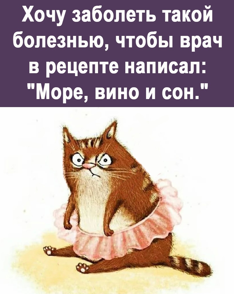 Шутки, анекдоты и забавности, способные поднять настроение на максимум 