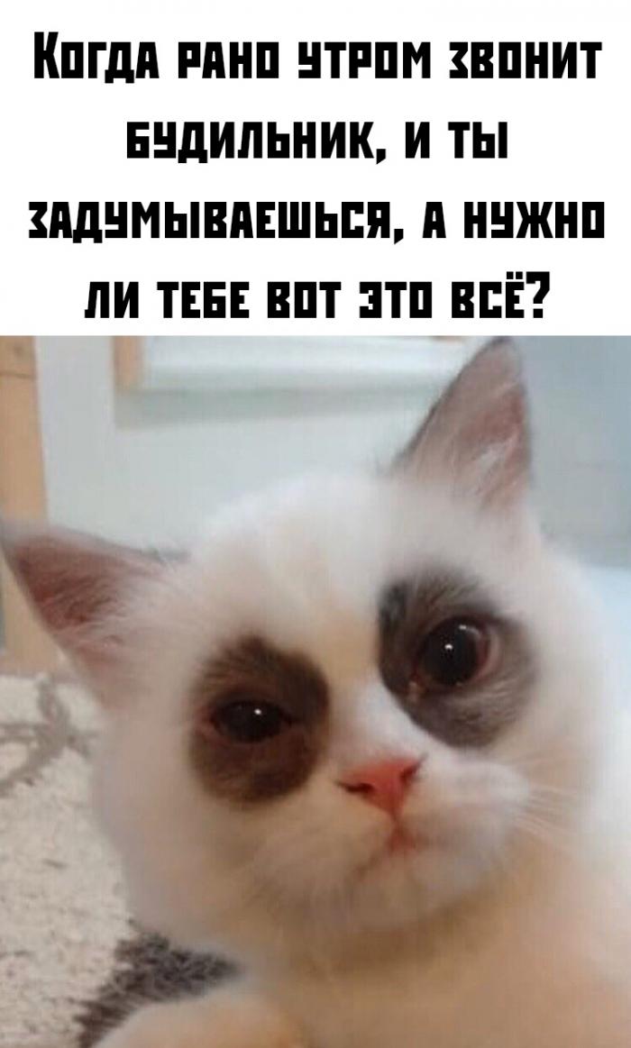 Подборка картинок и фотографий с надписями из сети со смыслом Подборка картинок и фотографий с надписями из сети со смыслом картинки с надписями,приколы,смешные комментарии,шикарные фотографии,юмор