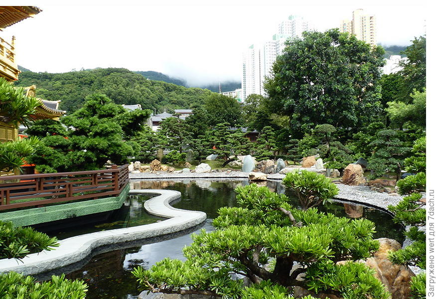 Китайский ландшафтный дизайн в стиле династии Танг здесь, может, очень, является, хочется, стиль, одном, стиле, дизайне, ландшафтном, чтобы, также, совершенно, каждого, этого, дерева, находится, Гонконга, принципам, заново