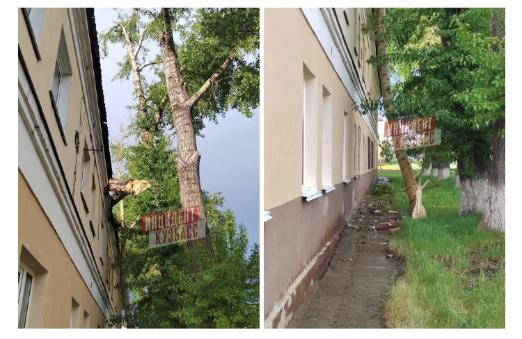 В Кемерове сломанная ураганом ветка дерева проломила крышу дома