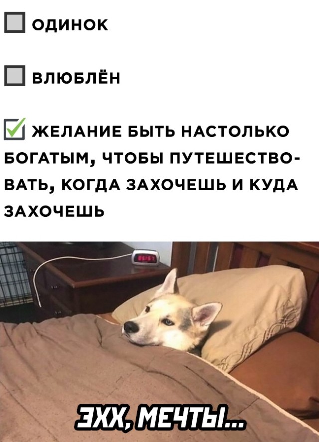 Подборка прикольных картинок Подборка прикольных картинок приколы,смешные картинки,юмор