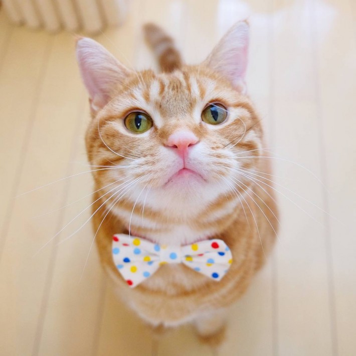 Давайте улыбаться вместе! :) 20170325