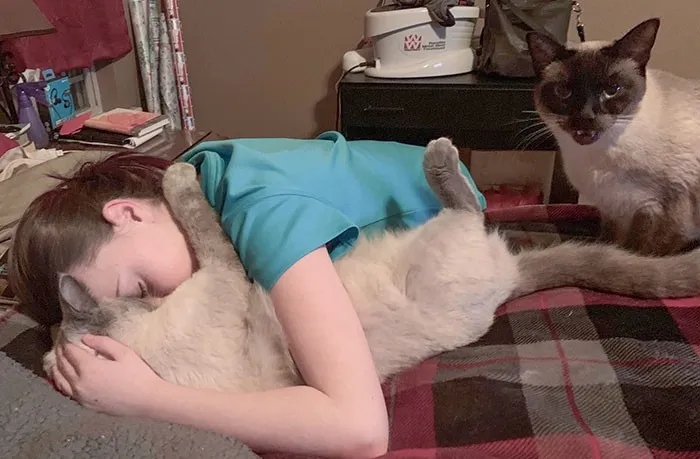 Смешные снимки с животными, которые ревнуют своих хозяев