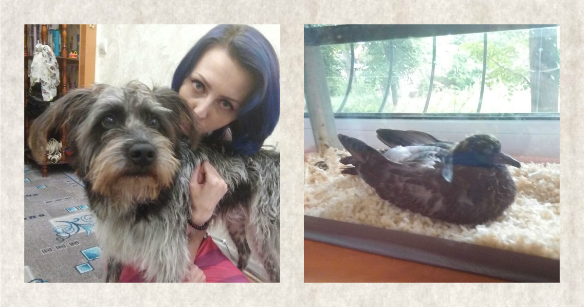 FotorCreated