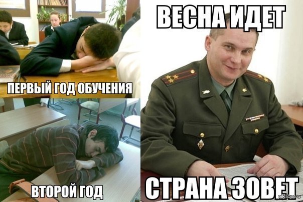 То ли смех, то ли слёзы   веселые картинки