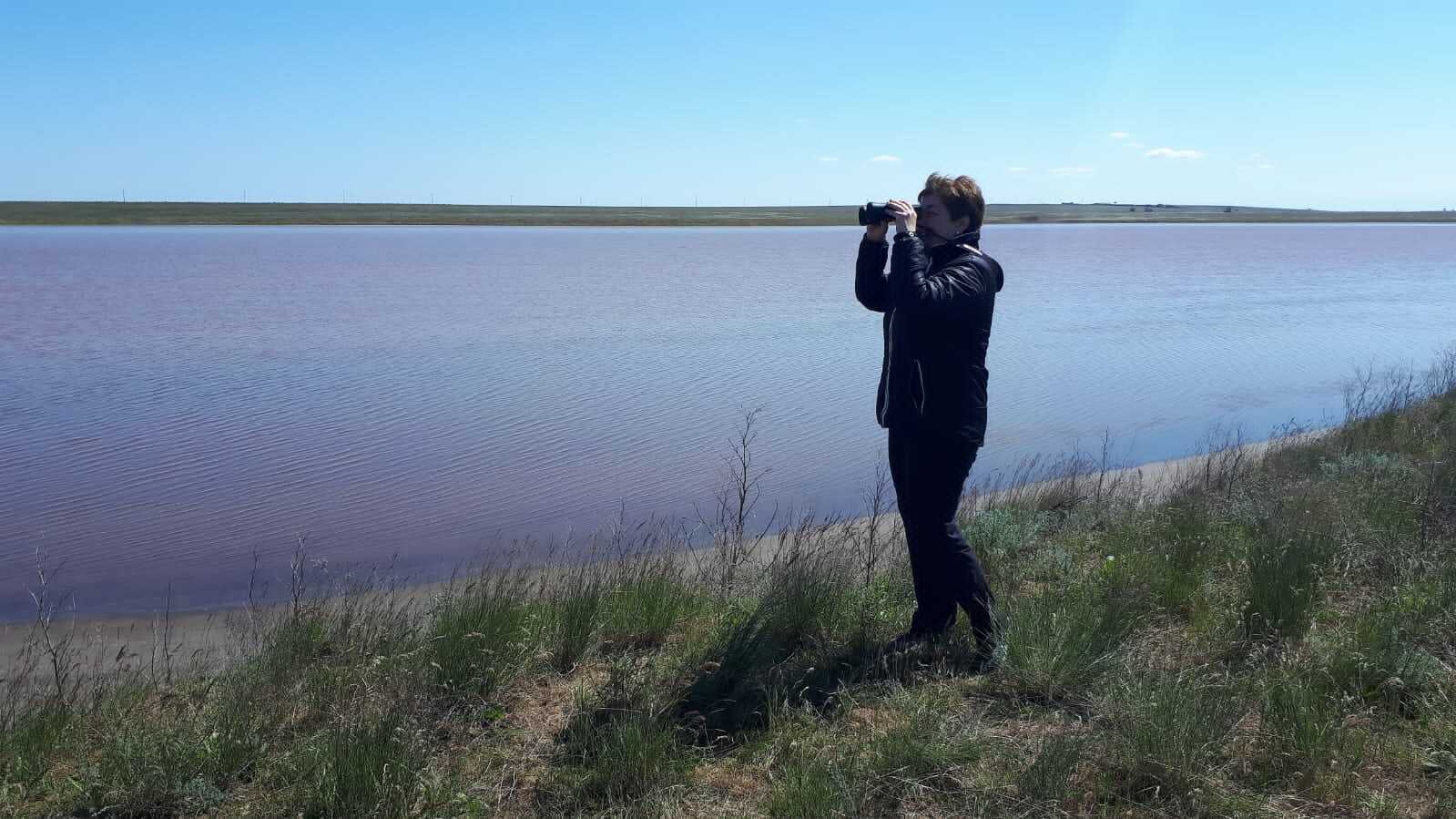 Птицы на Маныче 