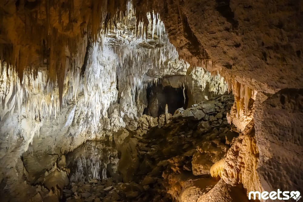 Waitomo Caves