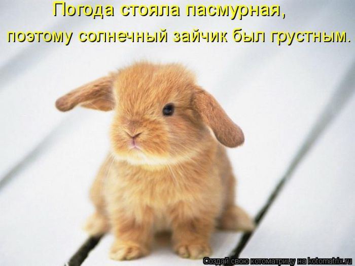 Мысли вслух :)