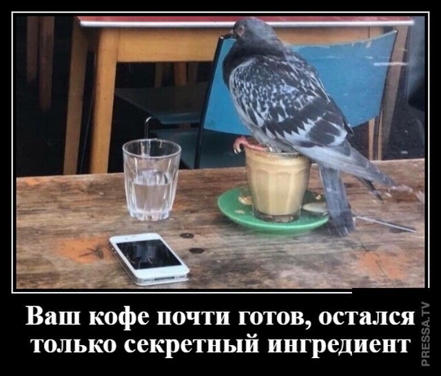 Забавные позитивные демотиваторы для хорошего настроения Забавные позитивные демотиваторы для хорошего настроения