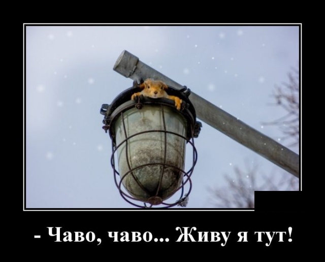 Подборка интересных и веселых картинок №62 Подборка интересных и веселых картинок №62 Отдых