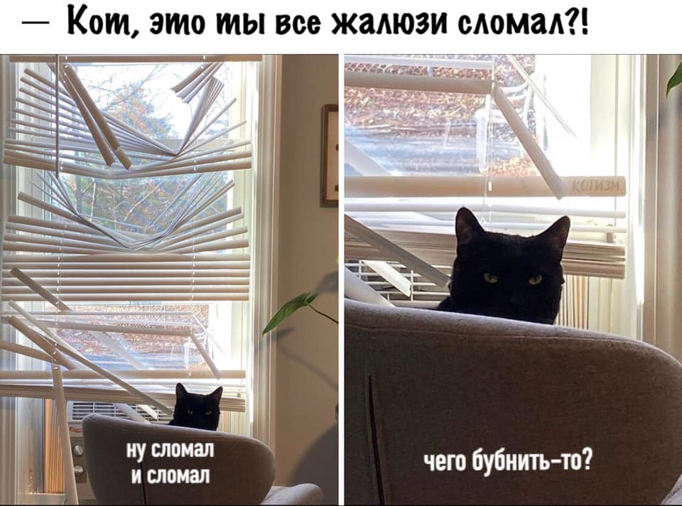 У кого какие планы на вечер
