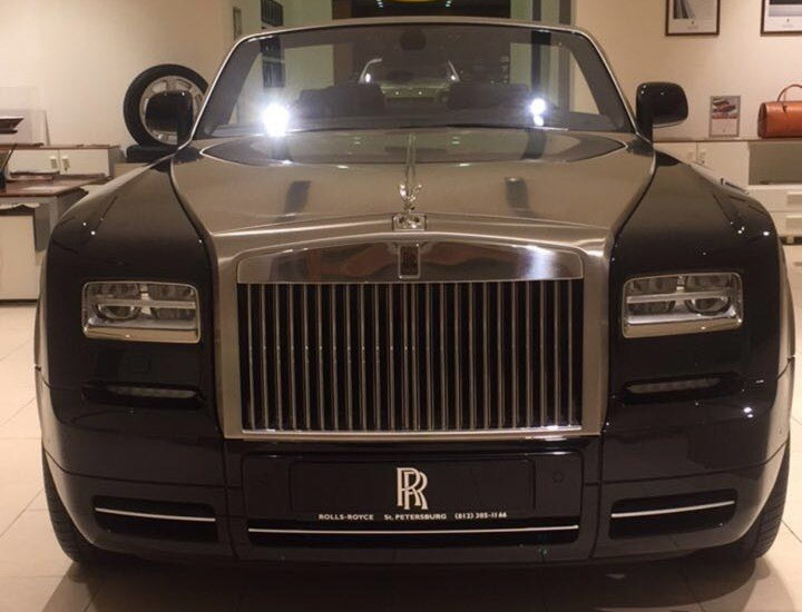 Петербуржец пришел покупать Rolls-Royce с живым львенком rolls-royce, животные, курьез, лев, прикол