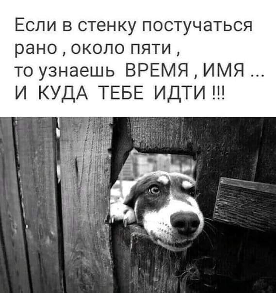 - Люся, а ты замуж за меня пойдешь? - Нет, я за день так находилась... только, Вовочка, прекрасно, сапиенс, просто, сказал, своей, прекрасное, Вчера, котором, отдаст, добрая, половина, отвечает, друзей, управление, запретил, комнате, русском, сынуля