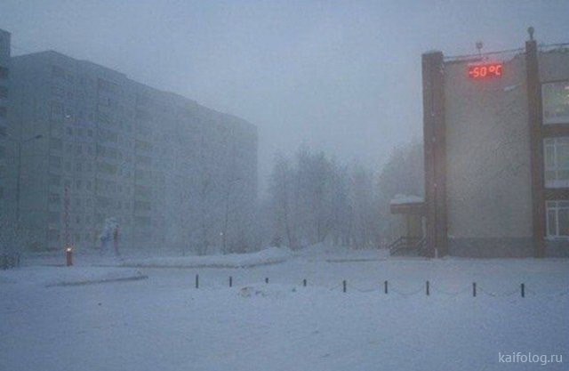 Веселый юмор Веселый юмор