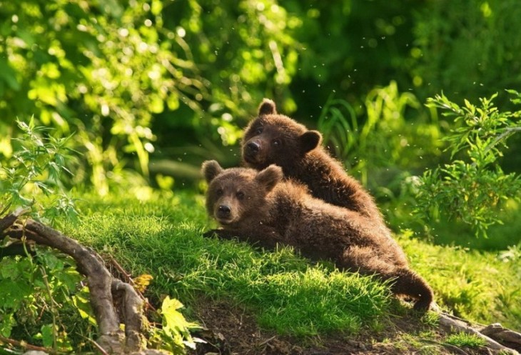 Курильские острова: романтика для истинных путешественников Курильские острова: романтика для истинных путешественников авиатур