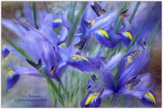 �������� �������� ����� ���������