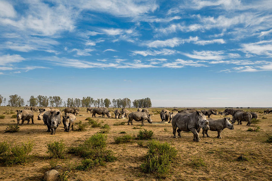 50 лучших фотографий года от National Geographic 23