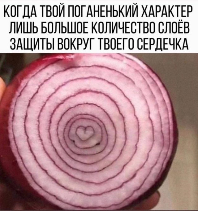 Смешные картинки с надписями и физика для чайников Смешные картинки с надписями и физика для чайников