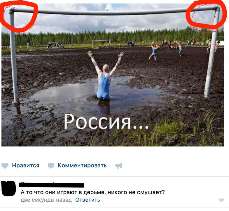 Смешные комментарии из социальных сетей приколы, смешные комментарии, юмор