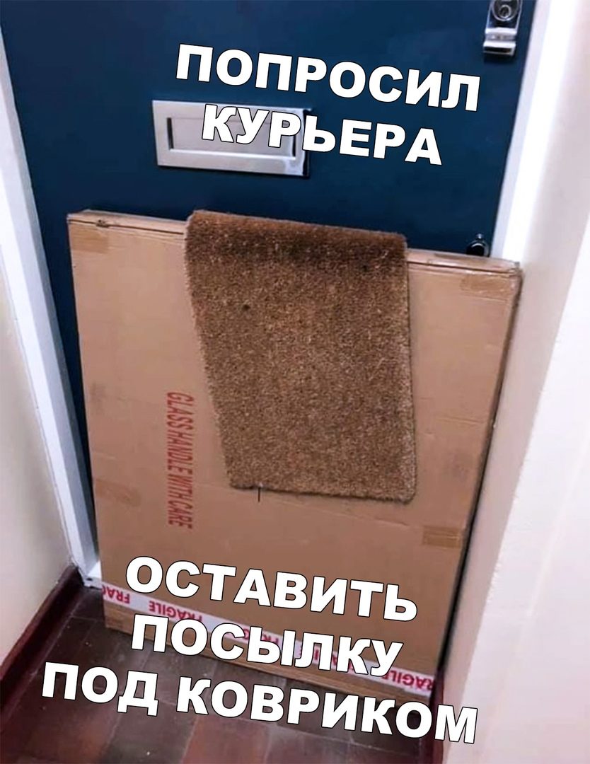 Шутки, анекдоты и забавности, способные поднять настроение на максимум 