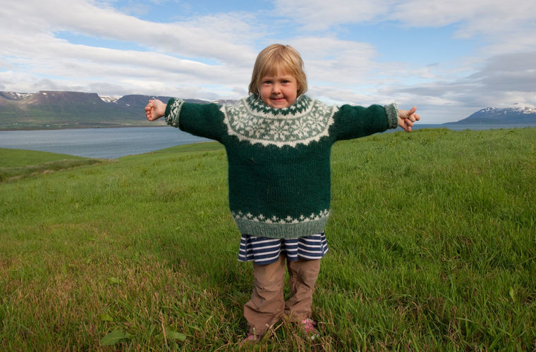 Как живут исландцы путешествие, страны