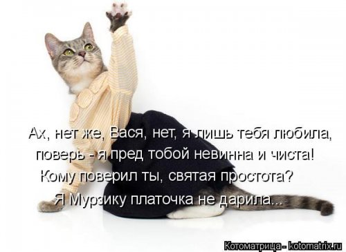 Котоматрица на Бугаге (28 фото)