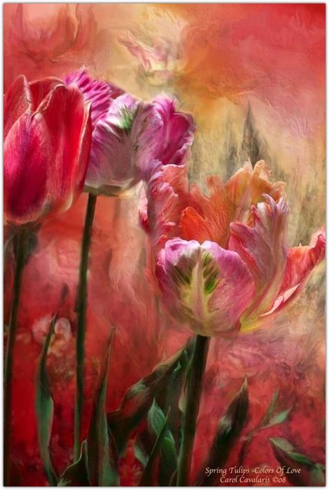 �������� �������� ����� ���������