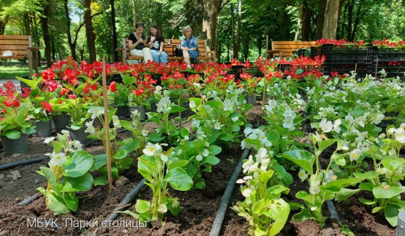 Гагаринский парк симферополь план