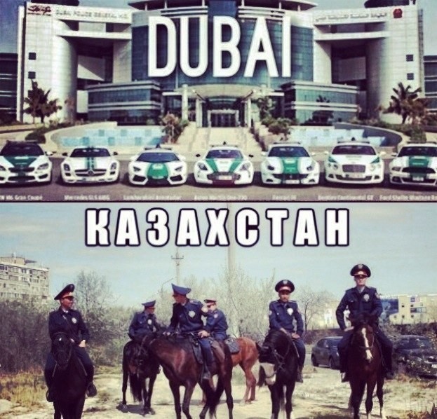 Смешные картинки с надписями прикол, юмор