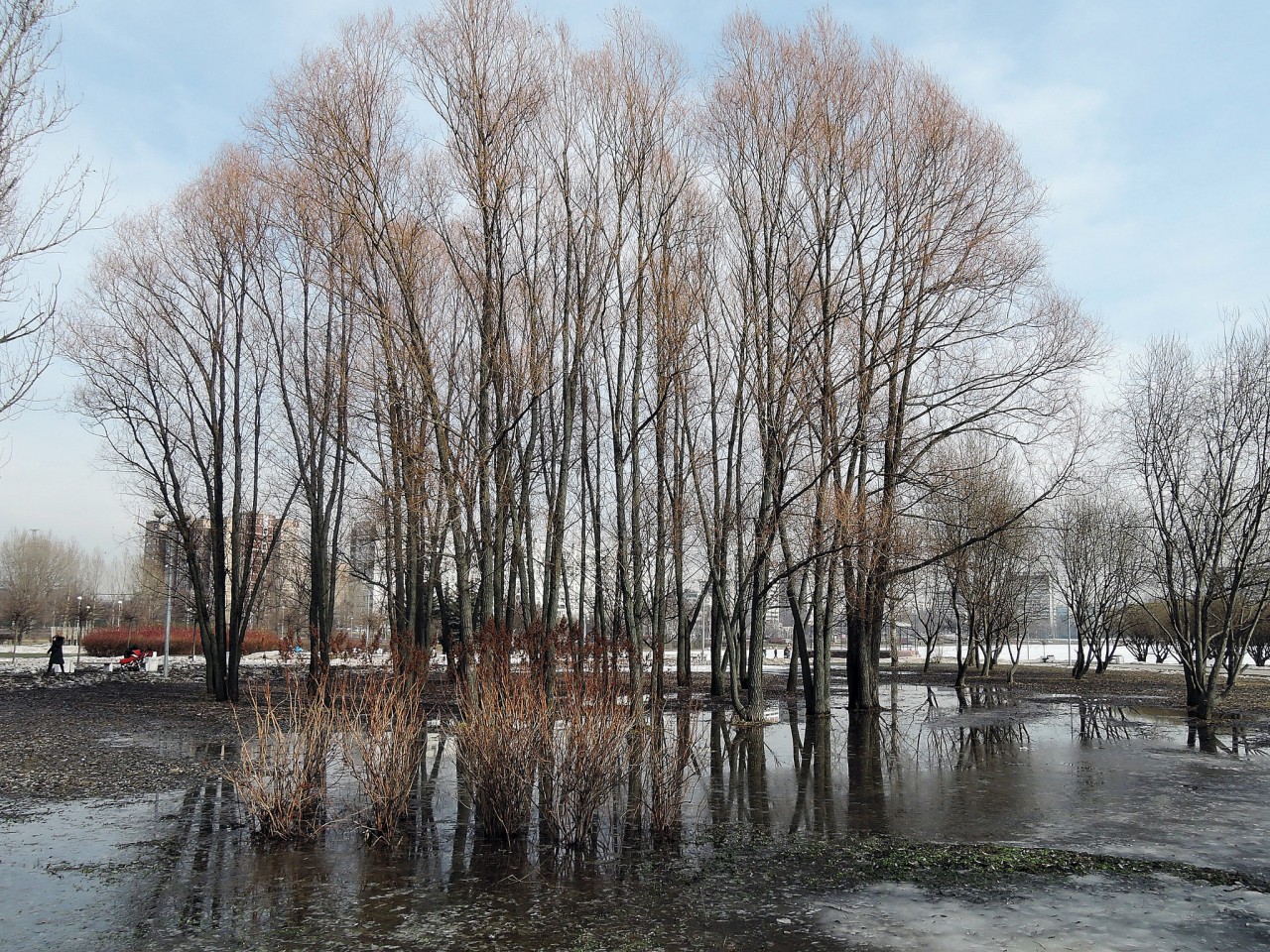 Гольяновский парк москва