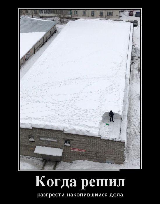 Демотиваторы выходного  дня 