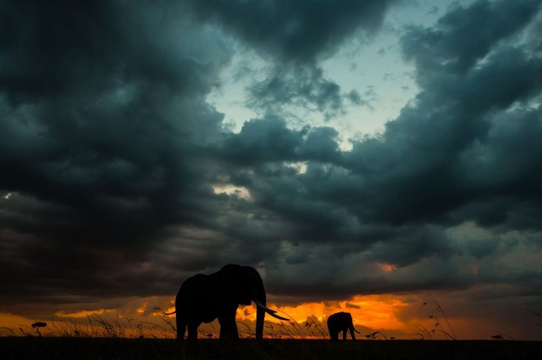 Неповторимые африканские закаты Африка,Кения,Масаи-Мара