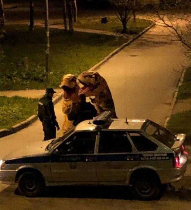 Улётные приколы Улётные приколы