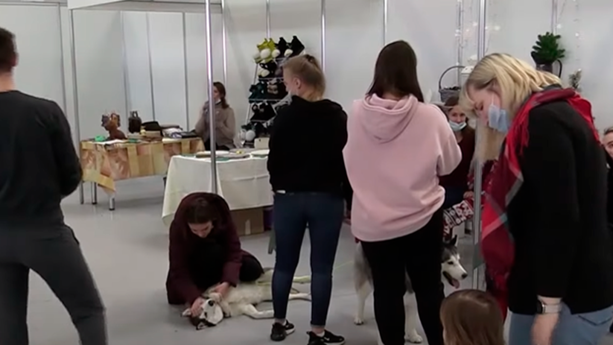 В Красноярске прошла зоовыставка с участием домашних и экзотических животных