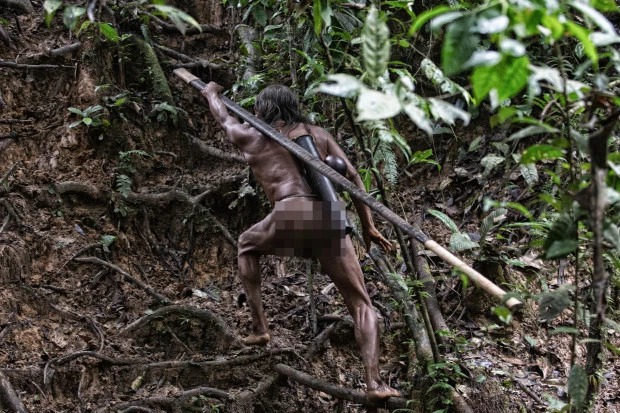 Неутомимые охотники джунглей: амазонское племя ваорани жизни, ваорани, джунглях, Вацлав, аборигенов, фотограф, используют, Амазонки, живут, охотятся, фотографии, пятерых, лесов, племя, Шильха, племени, используя, обезьян, работники, которым