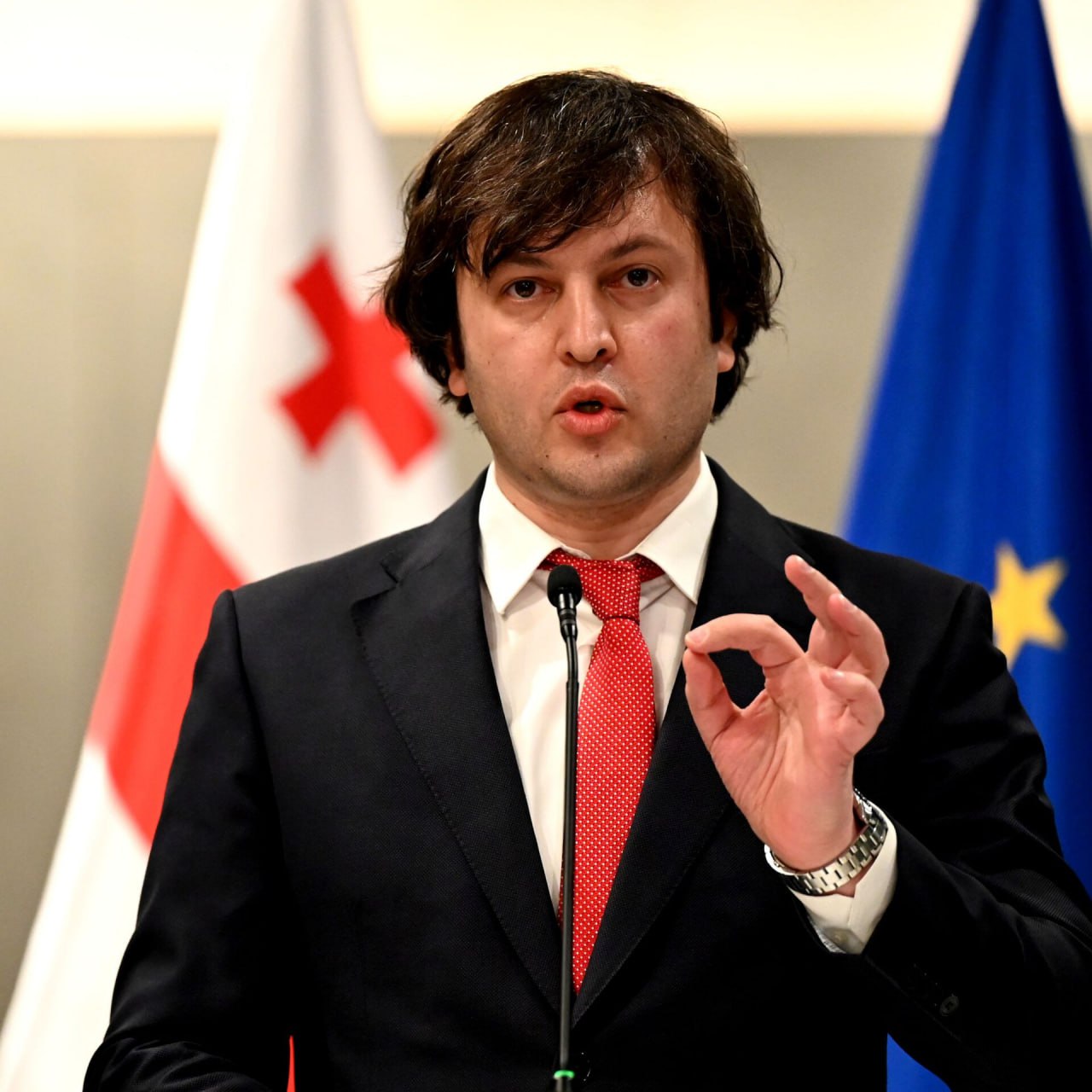 Маховик дестабилизации приостановлен, но опасность госпереворота в Грузии не миновала геополитика