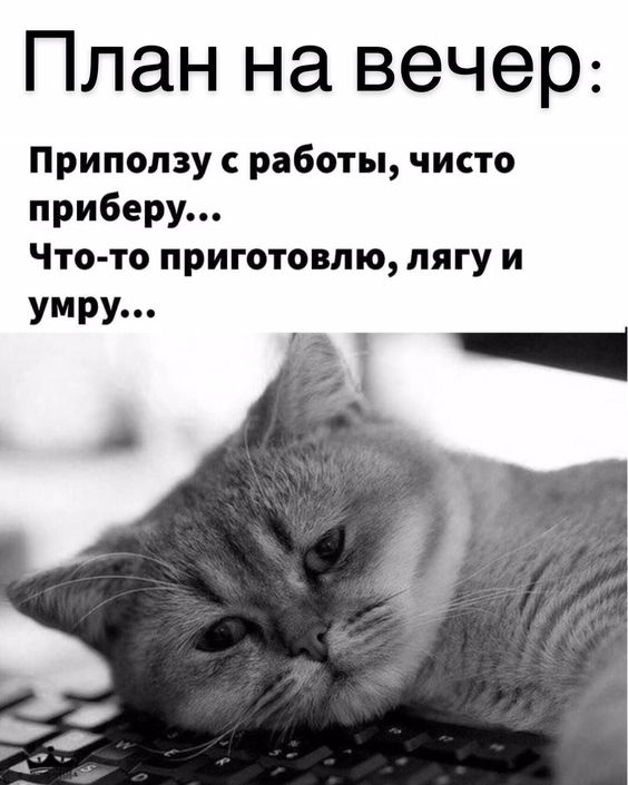 Пришла пора зарядиться позитивом! Подборка зажигательного юмора Пришла пора зарядиться позитивом! Подборка зажигательного юмора