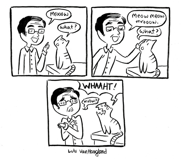 Cat Comics