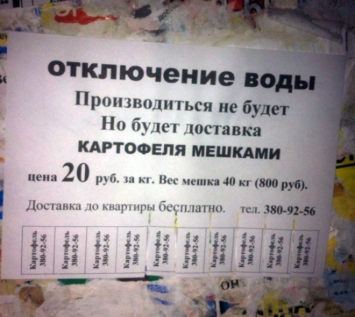 Как правильно написать объявление об отключении воды в доме образец