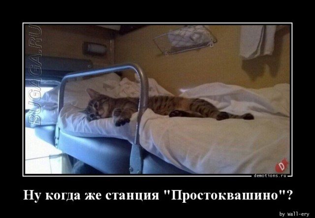 Демотиваторы-приколы в середине недели: «Мужчины все вещи обычно вешают на…»  