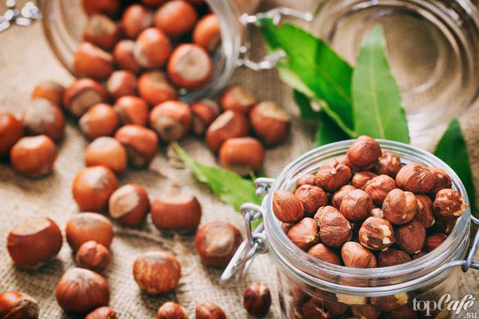 Самые дорогие орехи: Фундук