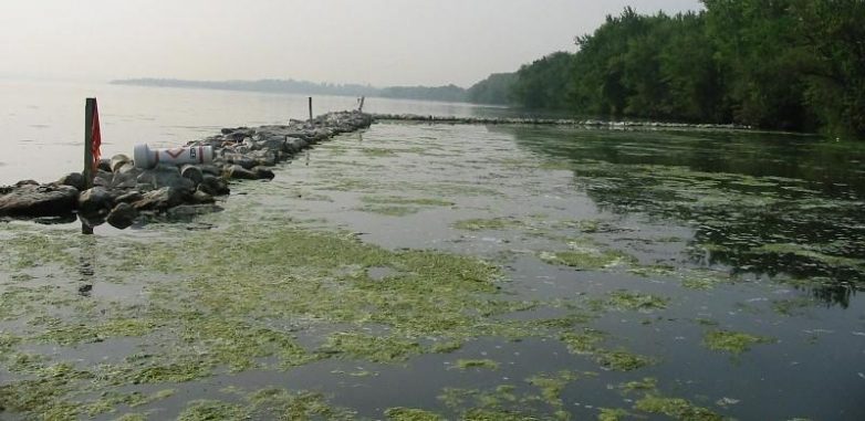 Самые опасные озёра и реки планеты водоем, озеро, Озеро, самых, отходов, согласно, тысяч, Карачай, смерти, озера, причиной, настолько, Янцзы, Черная, Россия, несколько, вовсе, только, Онондага, очень