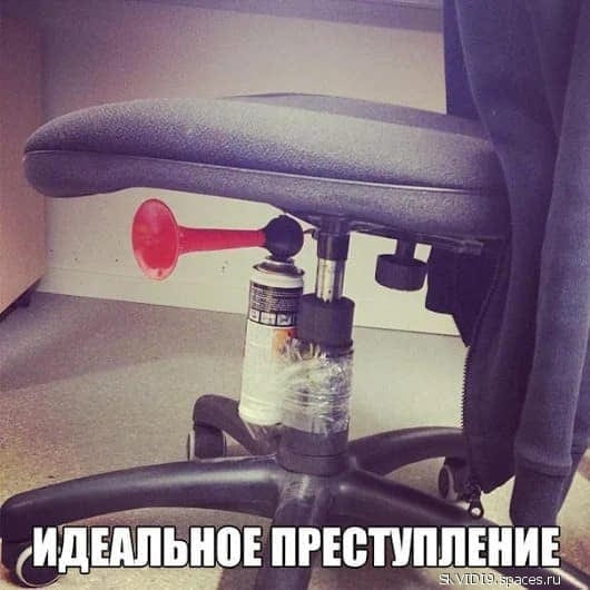 Весёлые истории, которые мгновенно улучшают настроение и удивляют неожиданной развязкой Весёлые истории, которые мгновенно улучшают настроение и удивляют неожиданной развязкой не всё так грустно