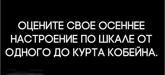 Веселые и смешные картинки с надписями со смыслом (11 фото)