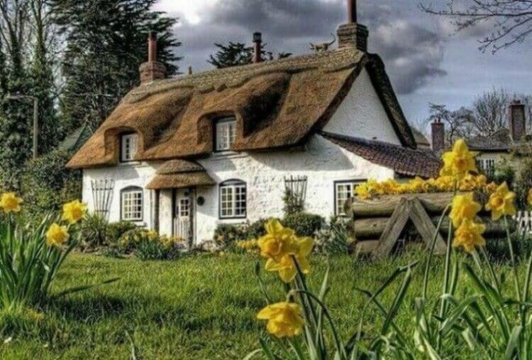 Графство Девоншир — самое сказочное из реальных мест на планете заграница,путешествие,страны,туризм