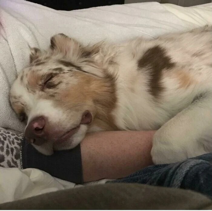 Bigpicture ru без названия 2022 10 10t091736.620