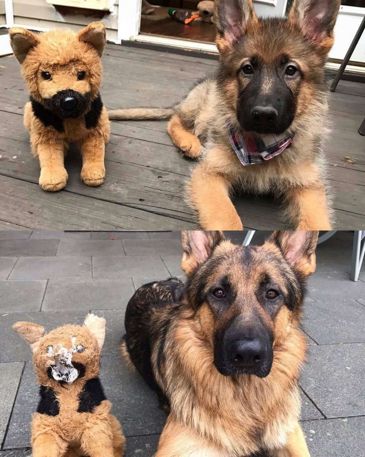 Прикольные фотографии - воскресный выпуск 