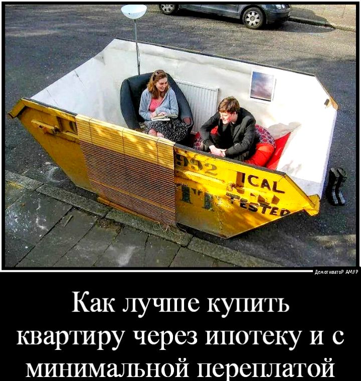 Шутки, анекдоты и забавности, способные поднять настроение на максимум 