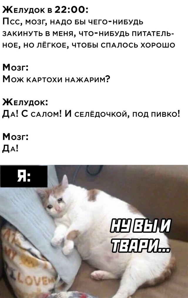 Подборка прикольных картинок Подборка прикольных картинок приколы,смешные картинки,юмор