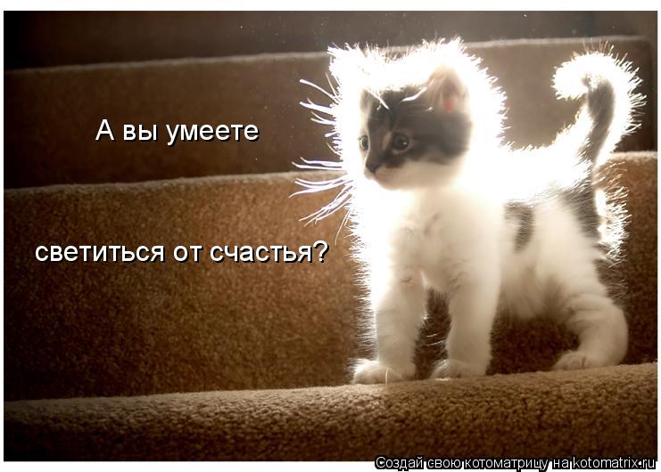 Котоматрица: А вы умеете светиться от счастья?